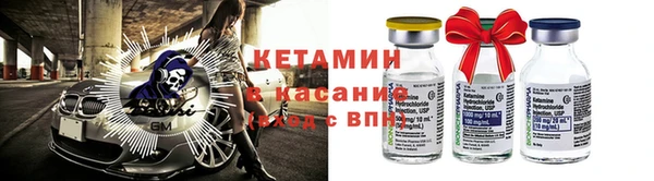крисы Алексин