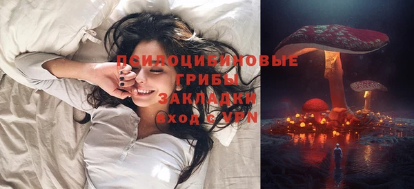 крисы Алексин
